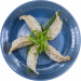 Chicken_and_Vegetable_Pot_Stickers2