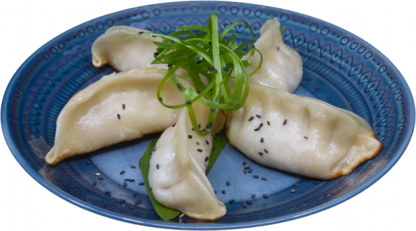 Chicken_and_Vegetable_Pot_Stickers1